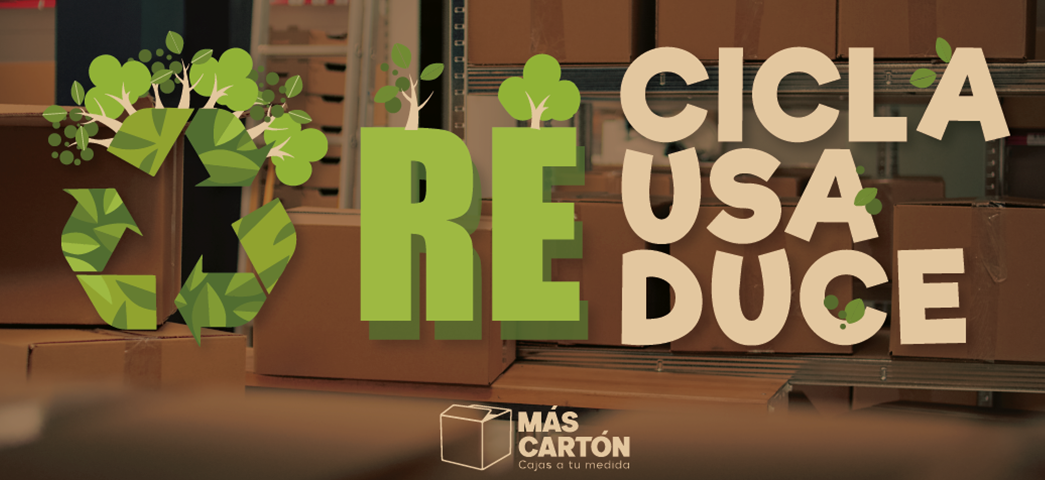 slider web recicla
